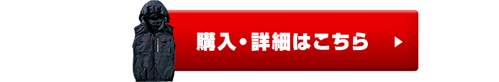 V1127商品ページボタン